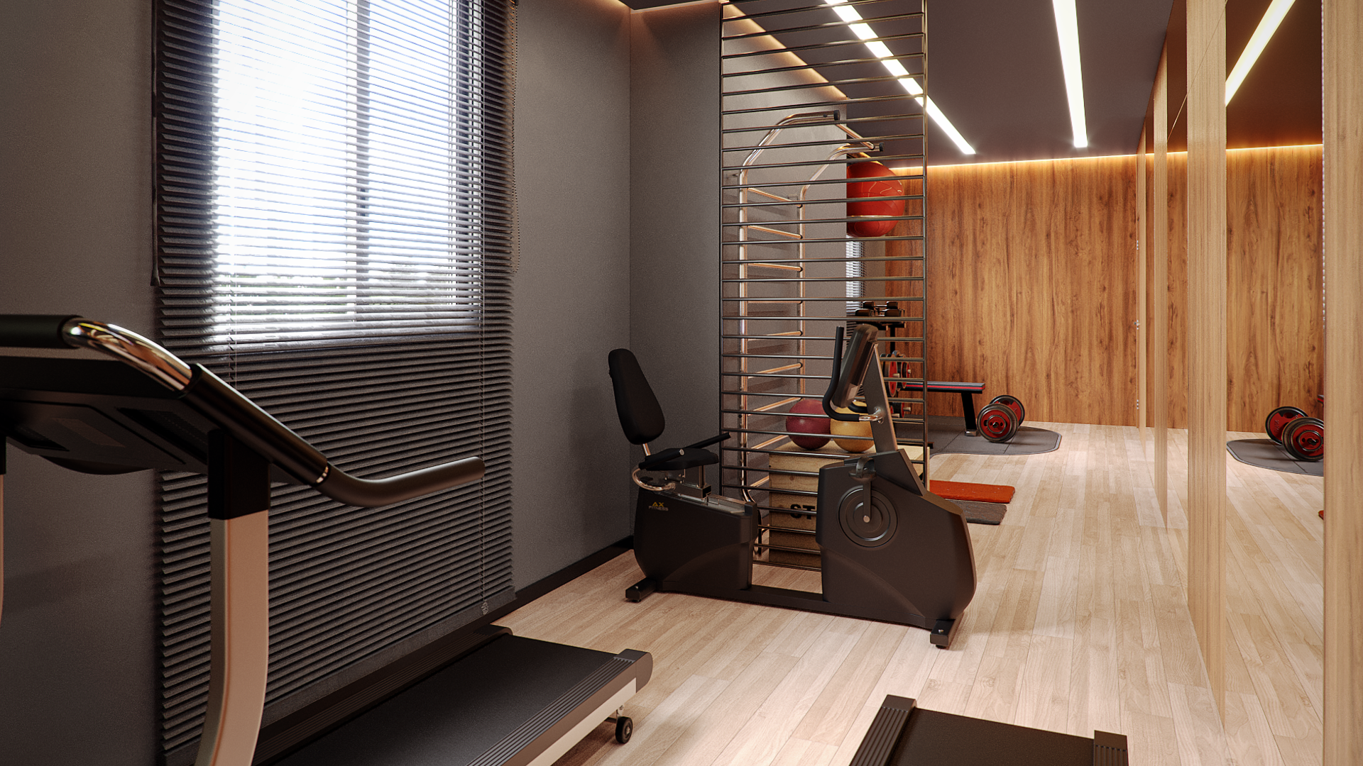 ACADEMIA - IMAGEM 02